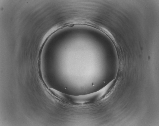 X0000063461146200601201239