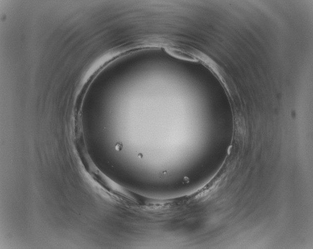 X0000063461147200601201239