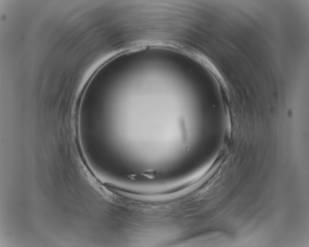 X0000063461148200601201239