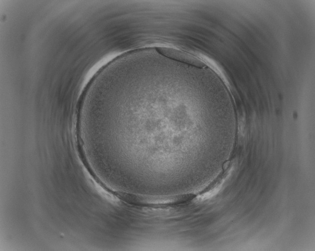 X0000063461149200601201239