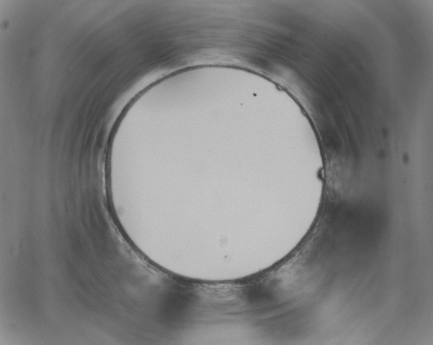 X0000063461150200601201239