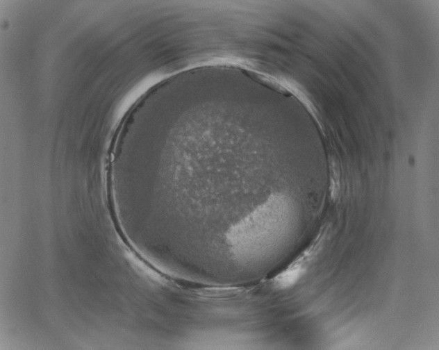 X0000063461151200601201239