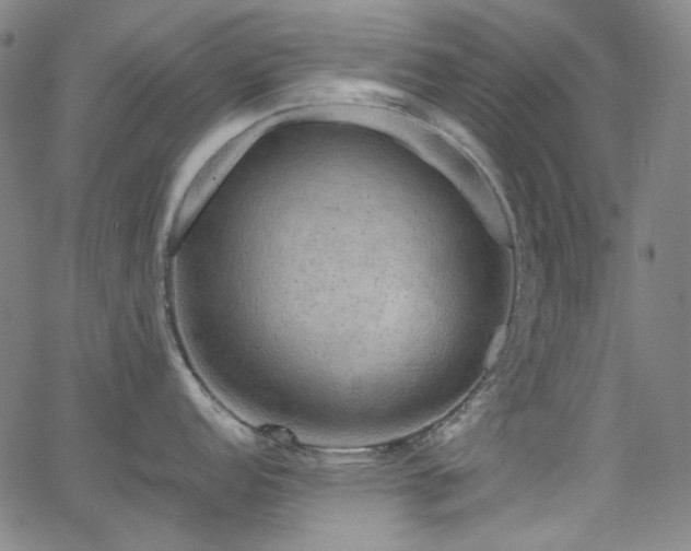 X0000063461152200601201239