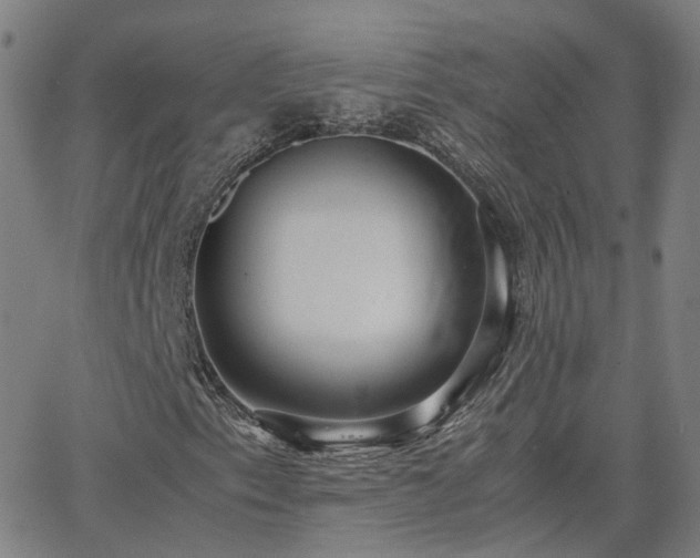 X0000063461153200601201238