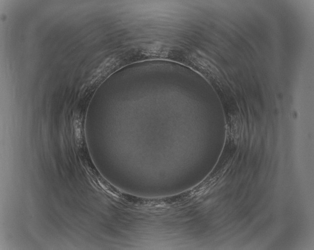 X0000063461154200601201238