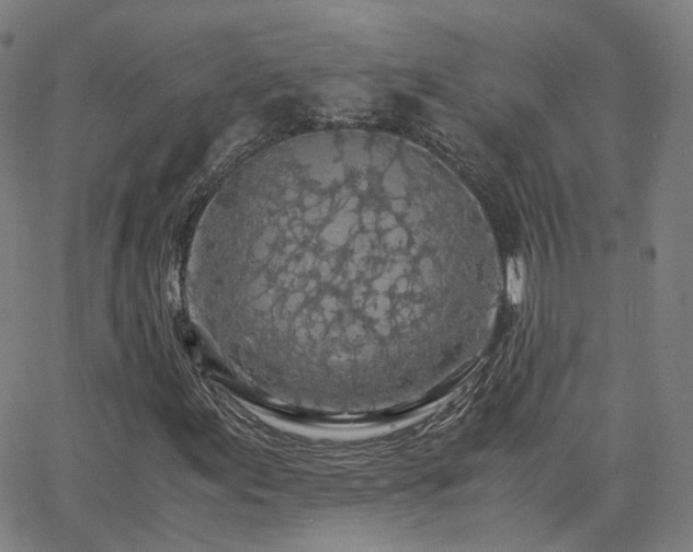 X0000063461155200601201238