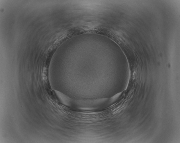 X0000063461156200601201238