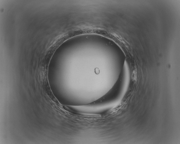 X0000063461157200601201238