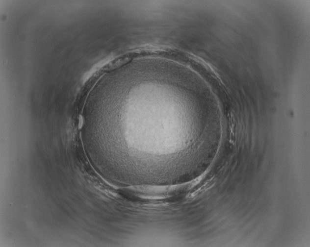 X0000063461160200601201238