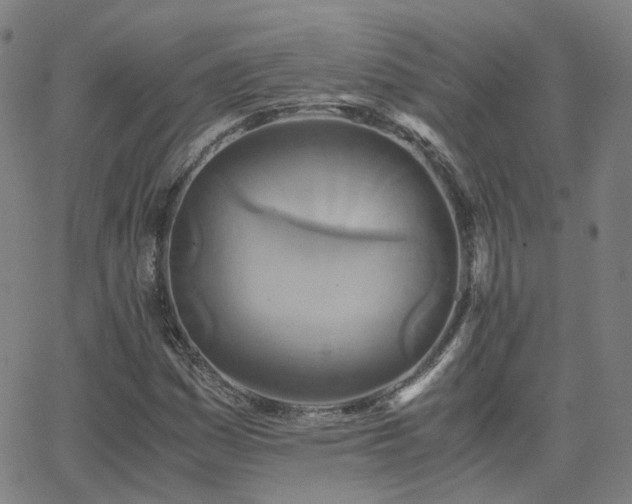 X0000063461161200601201238