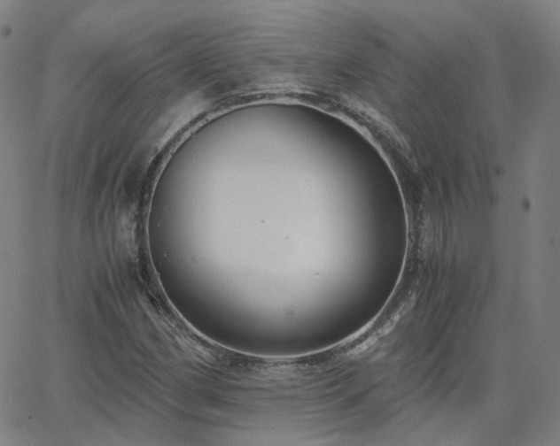 X0000063461162200601201238