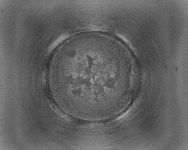 X0000063461163200601201238