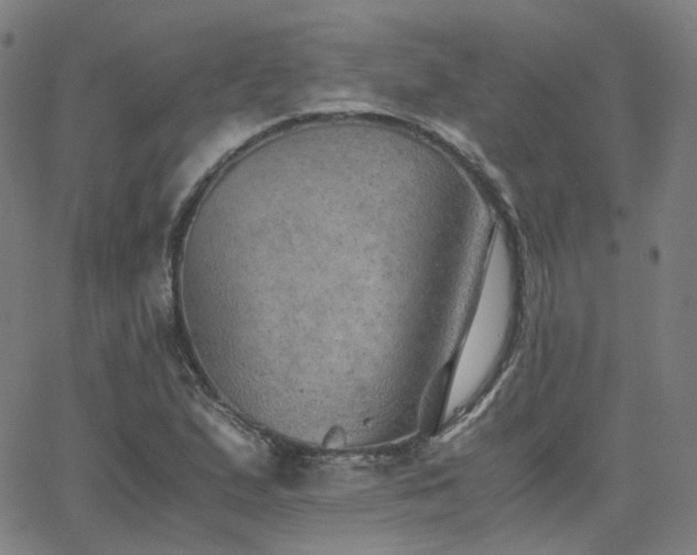 X0000063461167200601201238