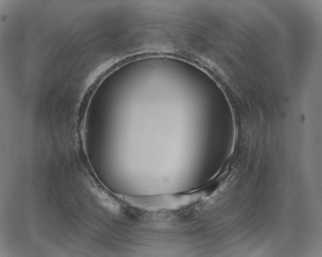 X0000063461168200601201238