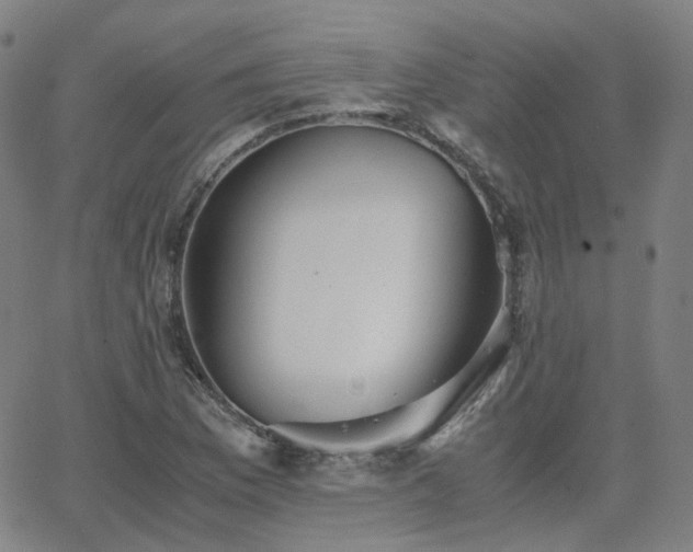 X0000063461169200601201238