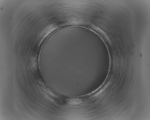 X0000063461170200601201238