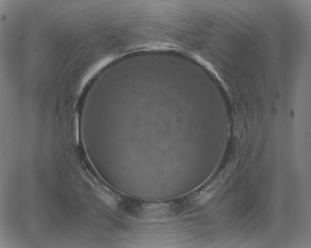 X0000063461171200601201238