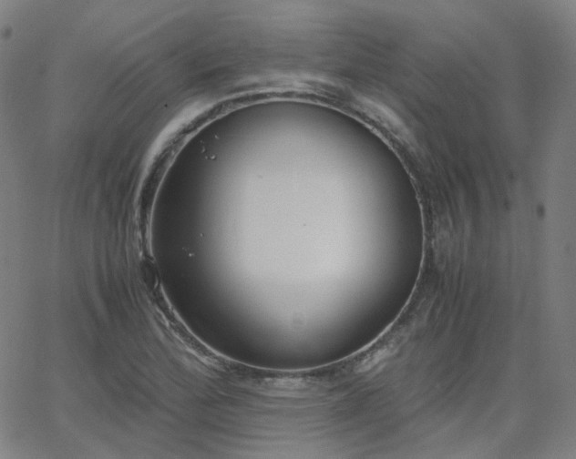 X0000063461172200601201238