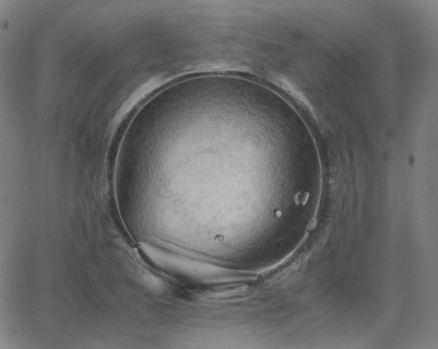 X0000063461173200601201238