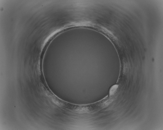 X0000063461174200601201238