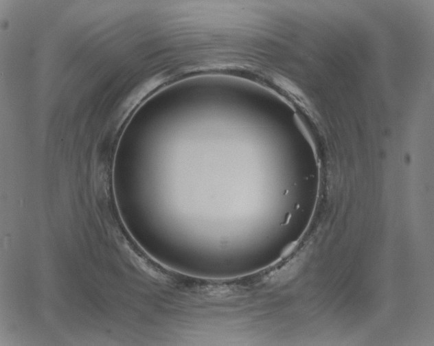 X0000063461177200601201238