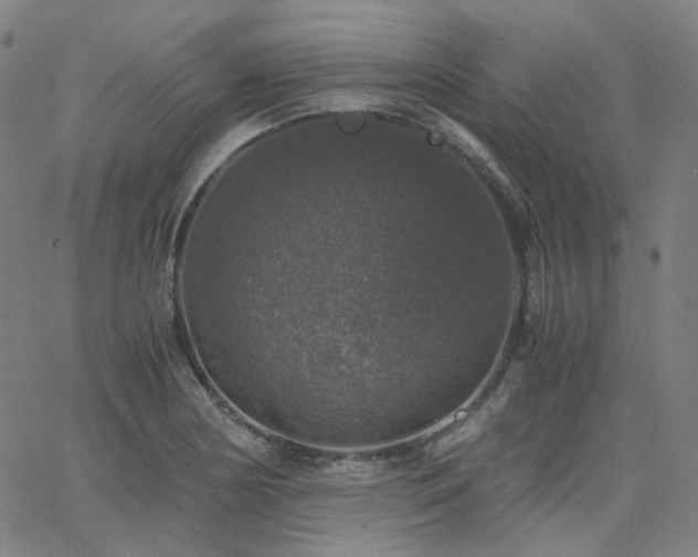 X0000063461178200601201238