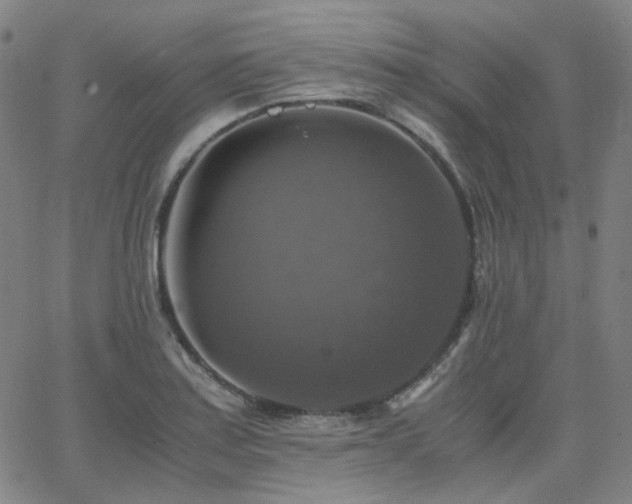 X0000063461179200601201238