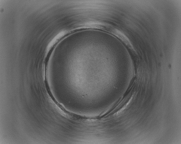 X0000063461180200601201238