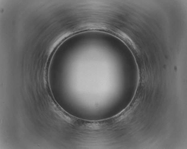 X0000063461182200601201238