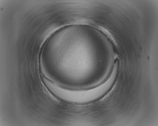 X0000063461184200601201238