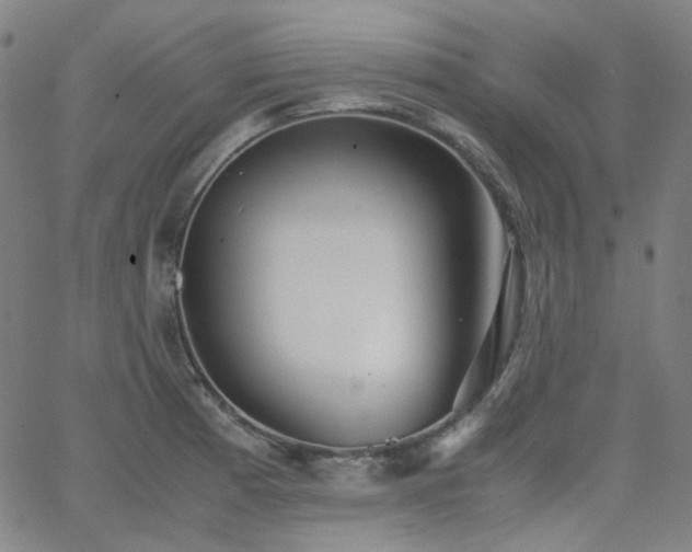 X0000063461185200601201238