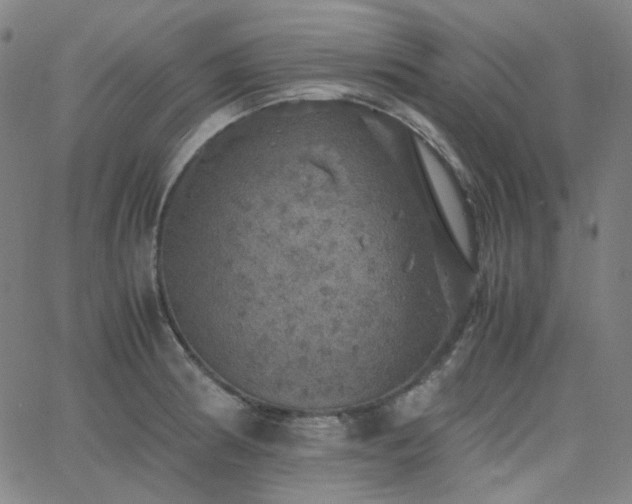 X0000063461186200601201238