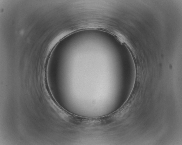 X0000063461187200601201238