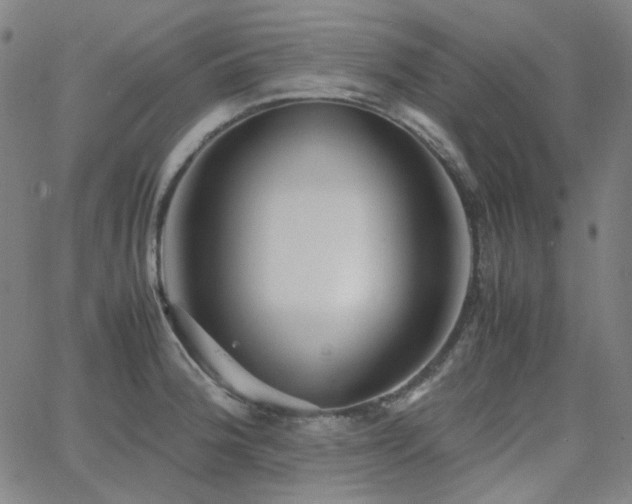 X0000063461188200601201238