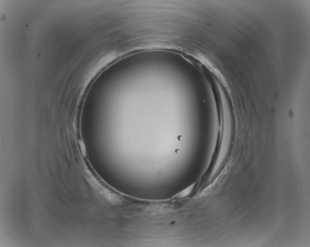 X0000063461189200601201238