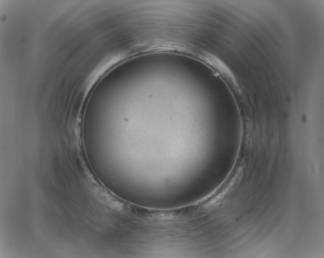 X0000063461190200601201238