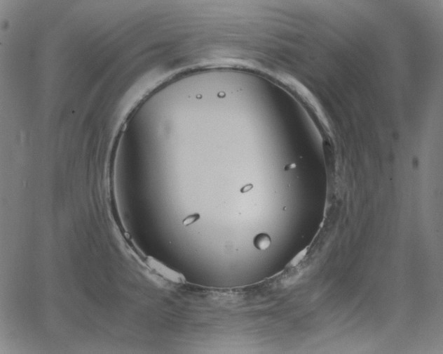 X0000063461191200601201238