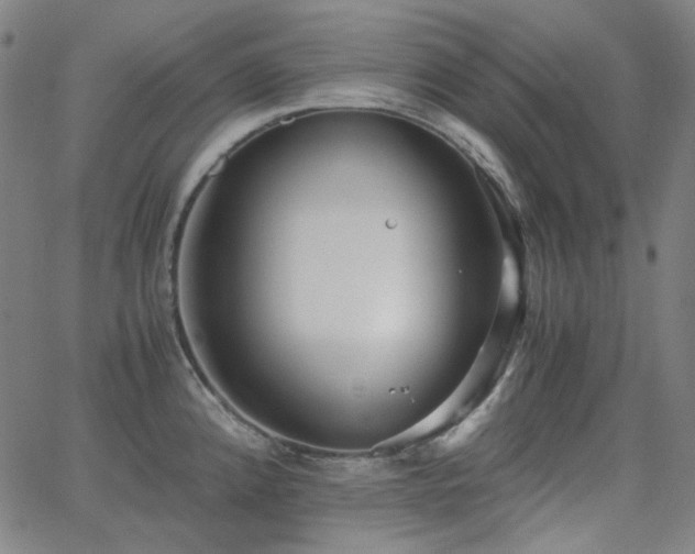 X0000063461192200601201238