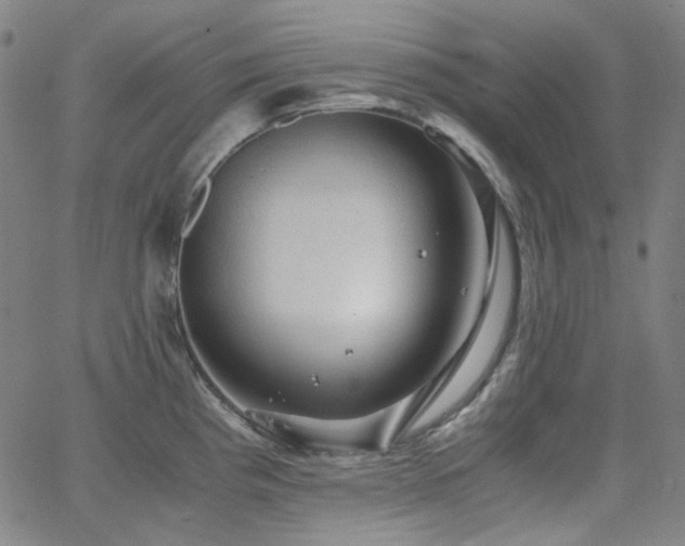 X0000063461193200601201238