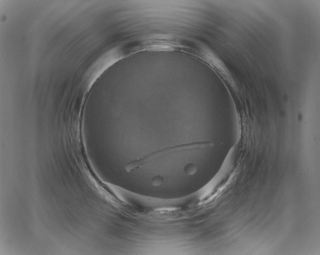 X0000063461194200601201238