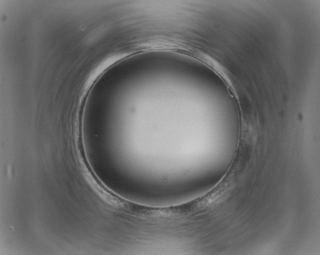 X0000063461195200601201238