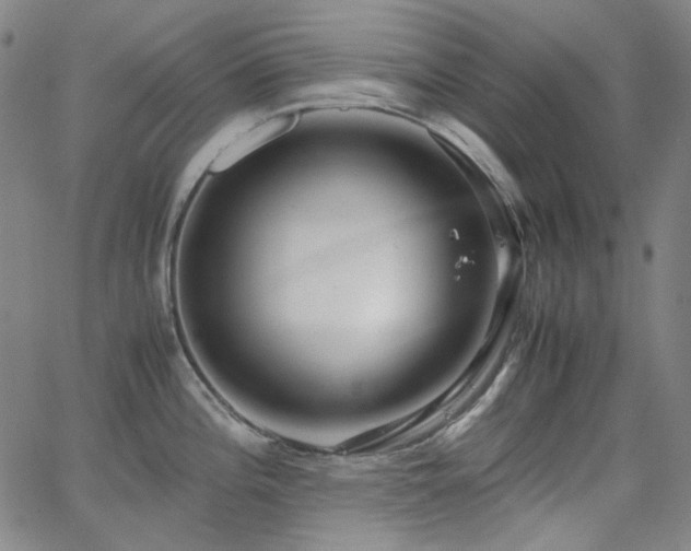 X0000063461196200601201238