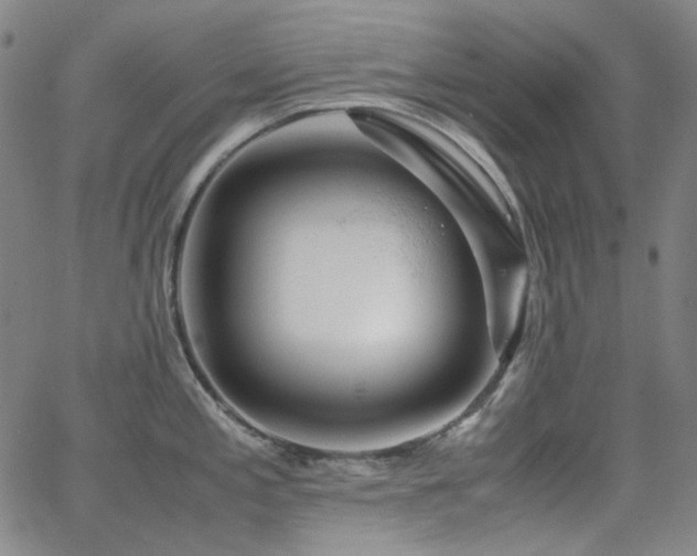 X0000063461197200601201238