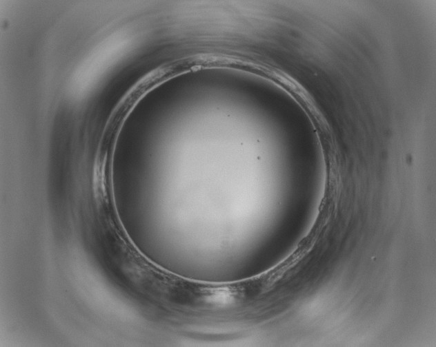 X0000063461199200601201238