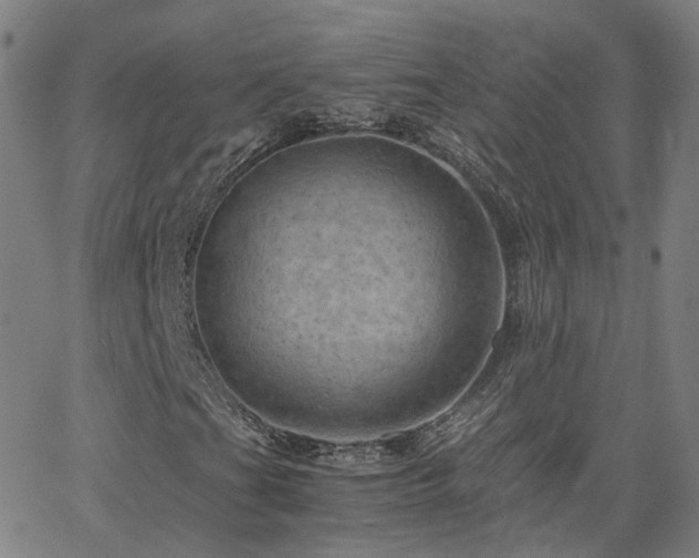 X0000063461201200601201237