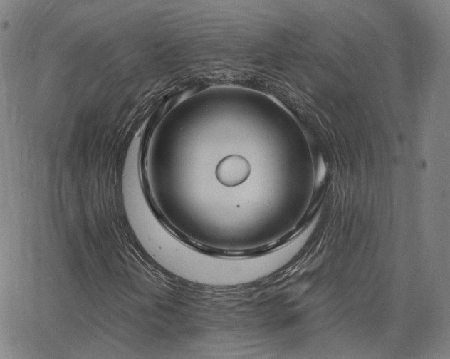 X0000063461202200601201237