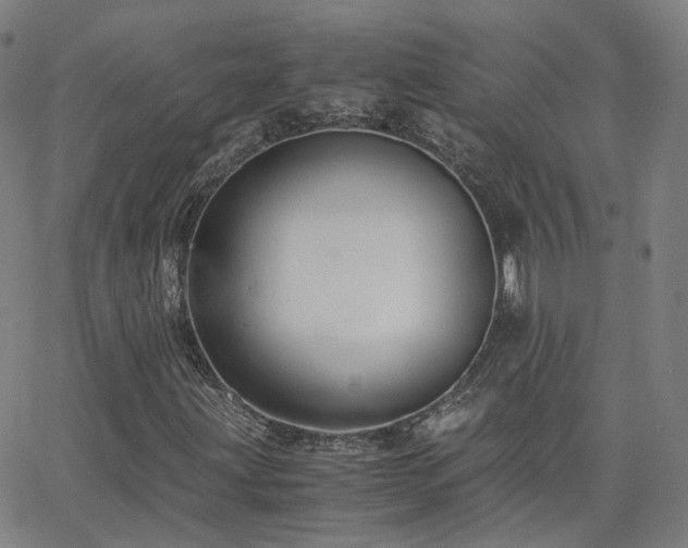 X0000063461203200601201237