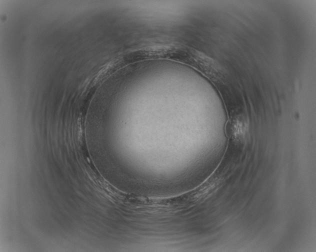 X0000063461204200601201237