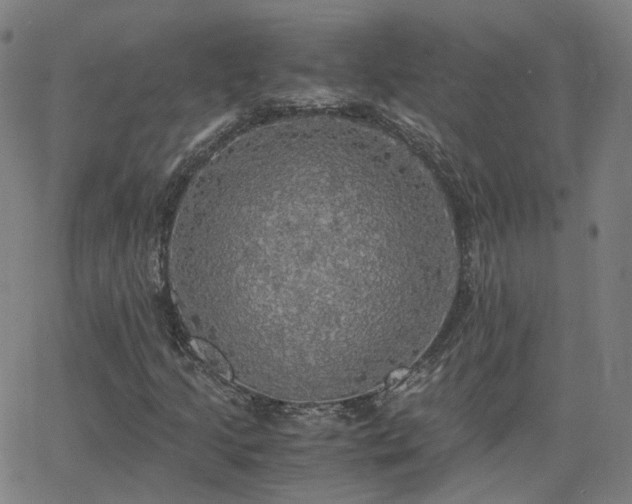 X0000063461205200601201237