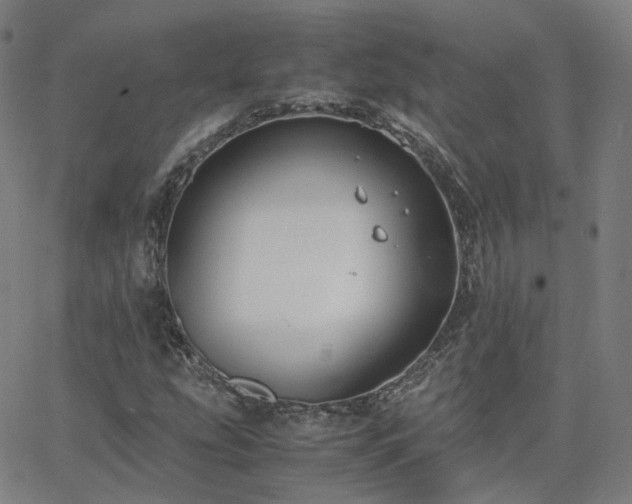 X0000063461207200601201237